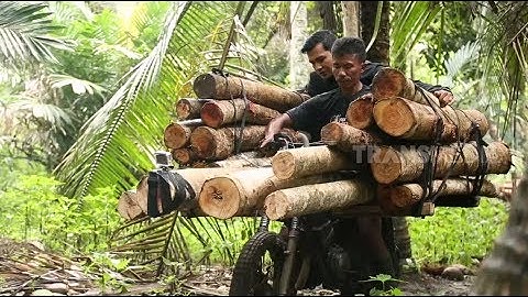 INDONESIAKU | BERTARUH NYAWA DEMI SEJAHTERA (25/03/19) Part 1