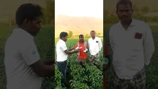 winfinith organic products kisan grow 8688755996