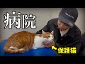 保護した猫が病気になってしまったので病院に連れていきます