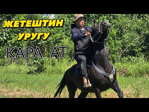 Жетештин линиясынан КАРА АТ