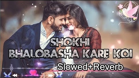 সখী ভালোবাসা কারে কয় l Slowed+Reverb l Sokhi Valobasha Kare Koy l Lo-Fi Songs Bangla l Love Song