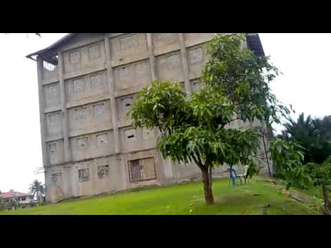 07102012504 Rumah Walet Pertama di Sabah - YouTube