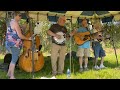 Live high grass band playing rocky island at sandy river distillery in riceva