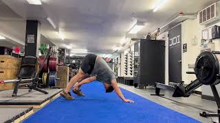 High Plank to Opposite Toe Touch
