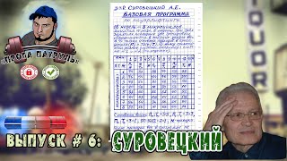 Прога-патруль #6: Суровецкий | Система 