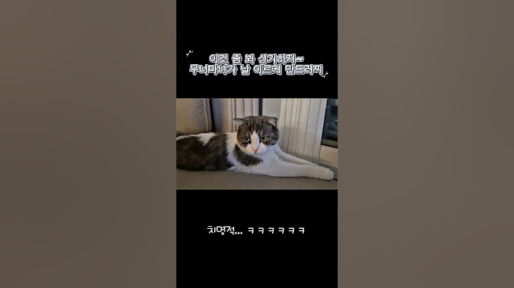 이것좀봐 신기하지 이백이.ver 사람처럼 엎드려있네 #고양이 #이것좀봐신기하지#냥냥펀치 #냥냥이