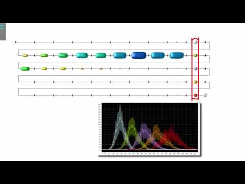 Video for PLoS Biology