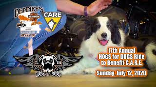 Hogs For Dogs KOLR10 Commercial