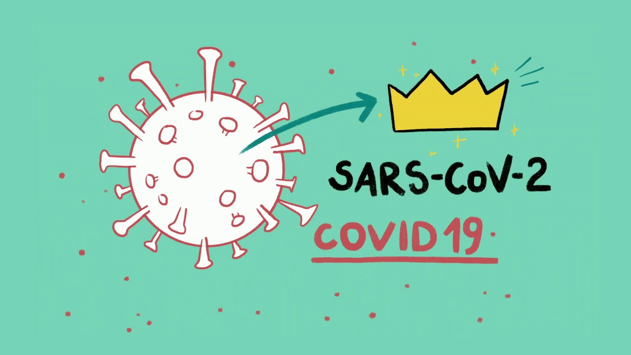 Krótki film o koronawirusie dla dzieci - video explainer by DINKSY