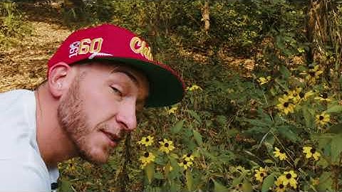 Top 100 Ways to Have More FUN! Go For a Walk - FUNdamentals