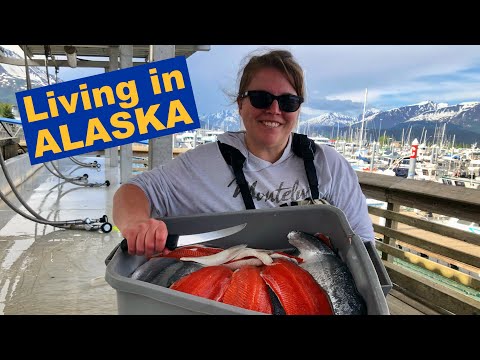 Video: Wat heb je nodig voor een vergunning in Alaska?