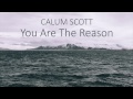 Calum Scott - You Are The Reason (LYRICS)