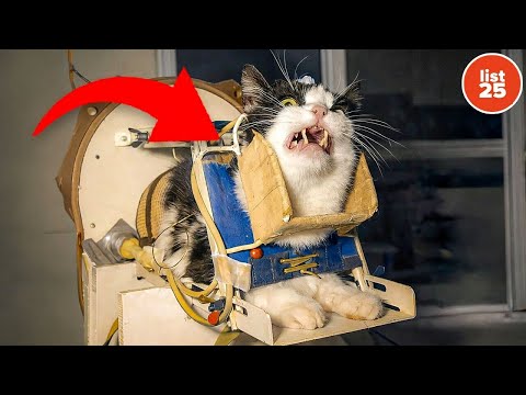 25 Fascinating Facts History Forgot to Mention