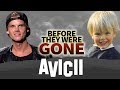 AVICII | Before They Were GONE | Tim Bergling | Wake Me Up