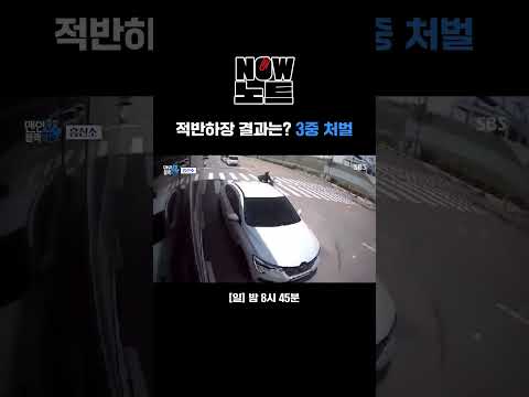 [#NOW노트📝] 잘못은 본인이 하고 버스를 가로막다?! 위험천만한 주행자의 적반하장 태도 #Shorts | 맨 인 블랙박스 | SBS