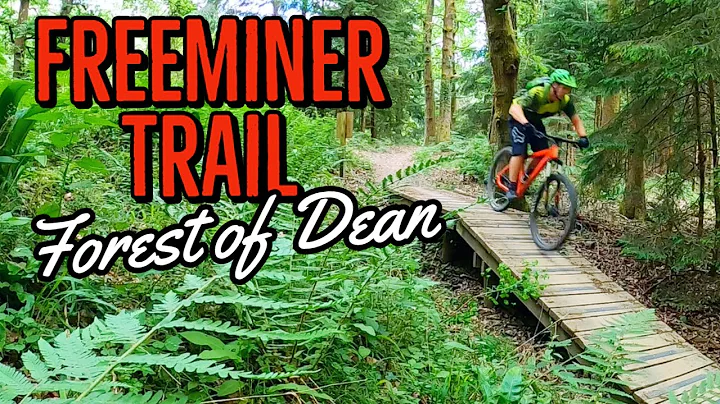 Freeminer Trail/ Cannop Cycle Centre/ Forest Of De...