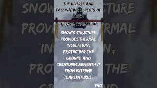 The Diverse And Fascinating Aspects Of Snow. facts snow