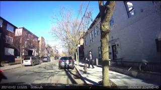 Tree Nearly Falls On People In Boro Park On Windy Day