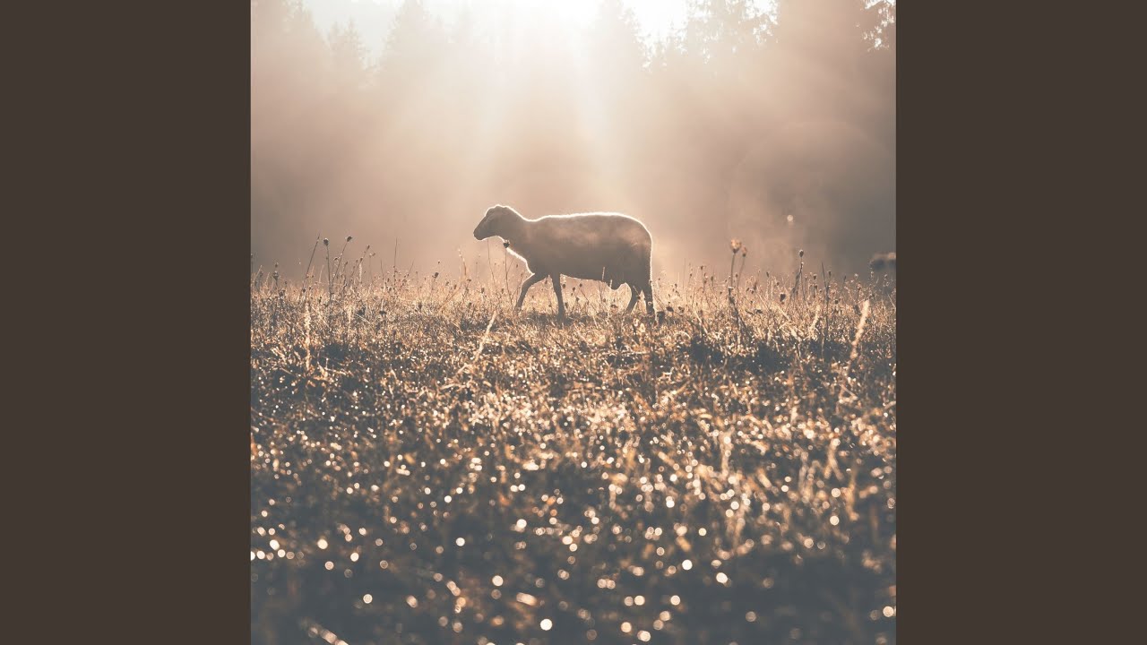 Your Grace Will Find Me