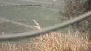 20141201_095948.mp