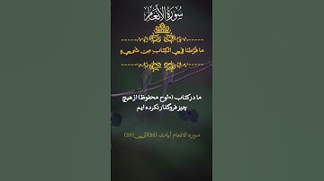 سوره الانعام آیات 38 الی 39