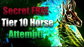 Secret FREE T10 Mythical Horse Attempt | Black Desert