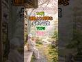 ☀️70代、運動より簡単な長寿の習慣 TOP3 🌿