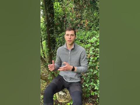 Объективное право VS субъективное право #shorts - YouTube