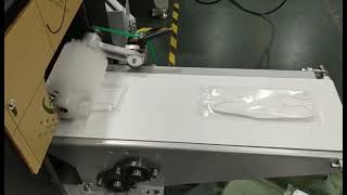 Automatic Horizontal Wrapper Pillow| Face Mask Packing Machine|Flow Wrapping Machine