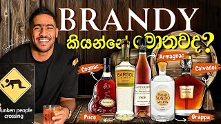 Download Lagu What is the brandy | මොනවද මේ brandy කියන්නේ | Armagnac | cognac | pisco | grappa | calvados MP3 Download Lagu What is the brandy | මොනවද මේ brandy කියන්නේ | Armagnac | cognac | pisco | grappa | calvados MP3