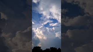 Clouds time lapse/ hyper lapse #trending #youtubeshorts #timelapse #hyperlapse