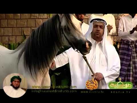 أحن شوقا رضوان نجم العلي
