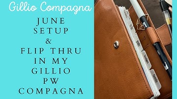 June Setup and Flip Thru Gillio Personal Wide Compagna with Franklin Covey Compact Inserts