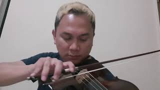 Cinta Sejati (ost habibie ainun ) biola