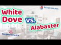 WHITE DOVE VS ALABASTER | Best Light Neutral Paint Colors