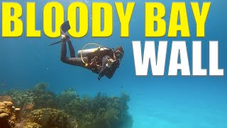 We Take The DIVE BOATS To LITTLE CAYMAN To Dive BLOODY BAY WALL- Kids Sea Camp!