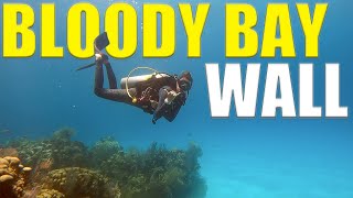 We Take The DIVE BOATS To LITTLE CAYMAN To Dive BLOODY BAY WALL