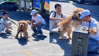 毛孩子今天很开心，日夜思念的小主人放假回来了❤️ #聪明旺豆豆
