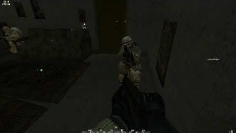 Invisible man in Project Reality