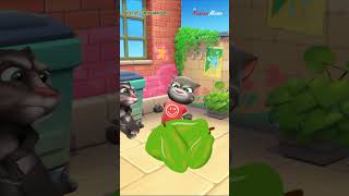 Talking Tom 2025 and Talking Tom 1 Learn How to Cut GIANT Papaya || Talking Tom 2025 Relaunch Game