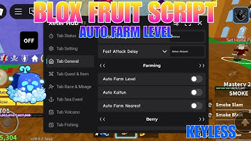 New Update Xeter Hub Roblox Script No Key | Blox Fruits Script Update Best Auto Farm Level