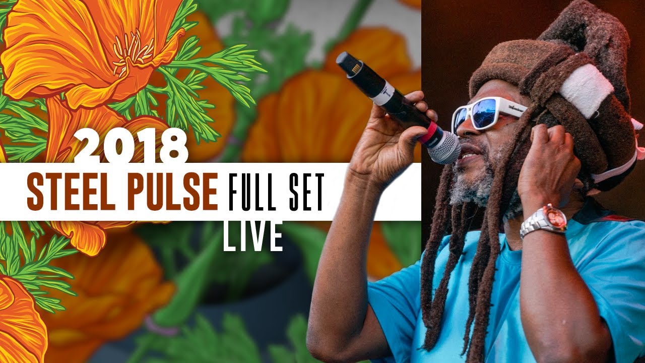 steel pulse on tour