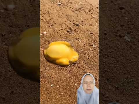 Masukin telur di pasir #short