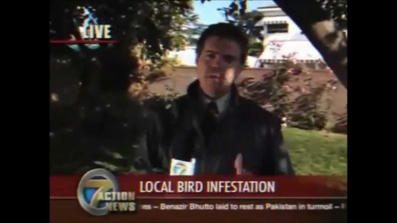 Reporter gets bird poo in his mouth (FUS RO DAH!)