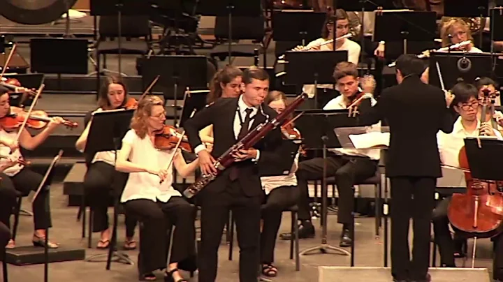 Traian Sturza   Bassoon