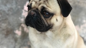 ERROR-[404] N3ÜRØ [DUBSTEP]