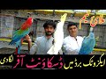 Birds Market Sadar Sunday Video Latest Update 21-7-25 Exotic Hand Tamed Parrots In Urdu/Hindi