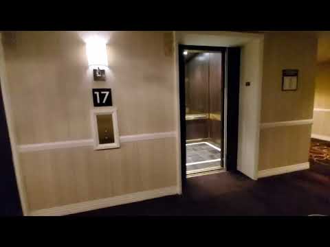 Vlogmas 2024 (Day 15) - River Rock Casino Resort Tour + Mom & Aunt Reunited + Late Night Coffee