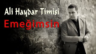 Ali Haydar Timisi - Emeğimsin ( Şarkı -  ) [© 2020 Soundhorus] Resimi