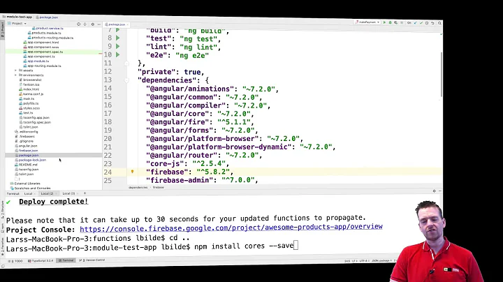 Advanced Web Apps 2019   Firebase Functions | S2P20 | Solve CORS issue in HTTP Request